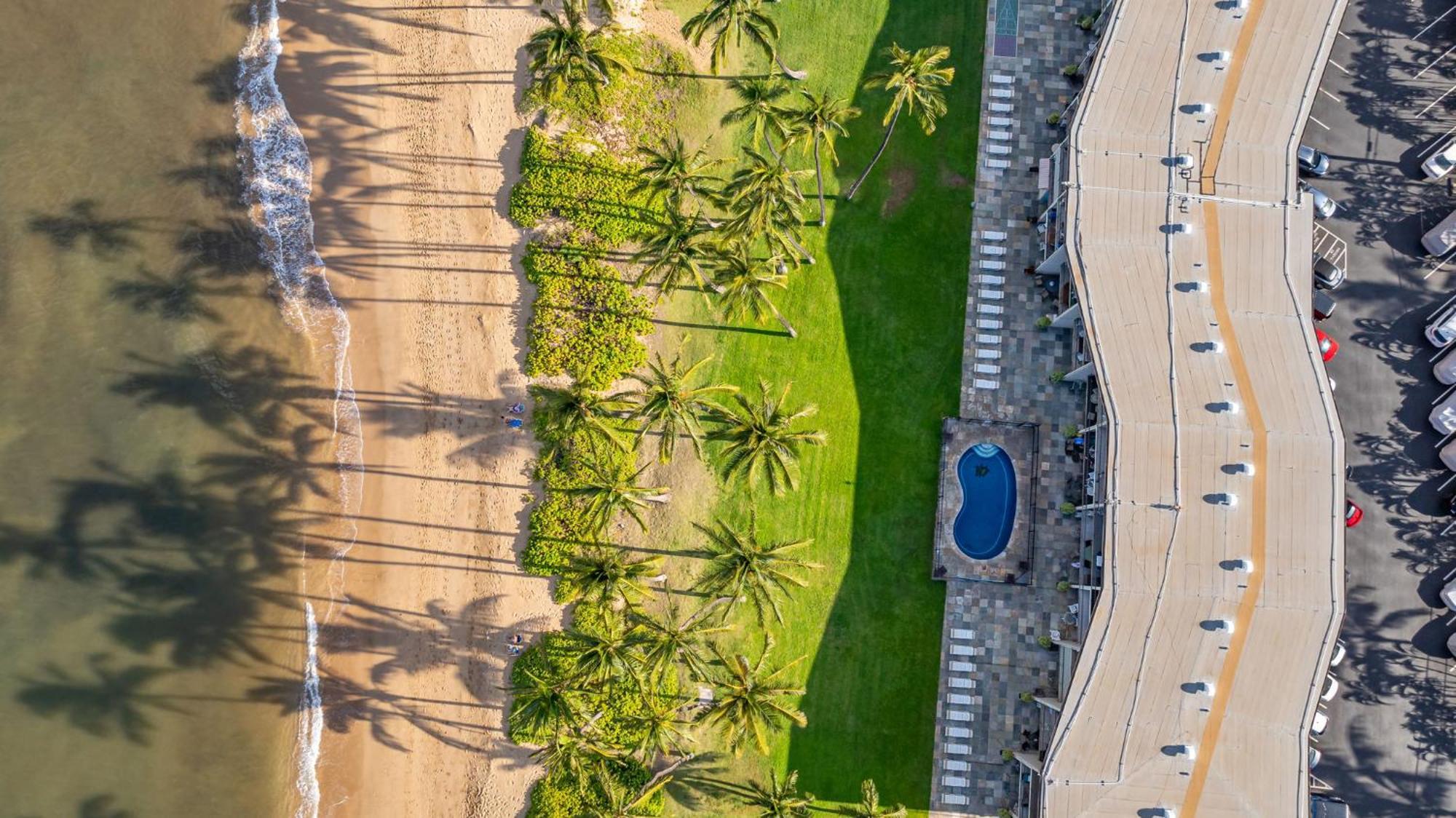 Hale Kai O'Kihei 317 아파트 외부 사진