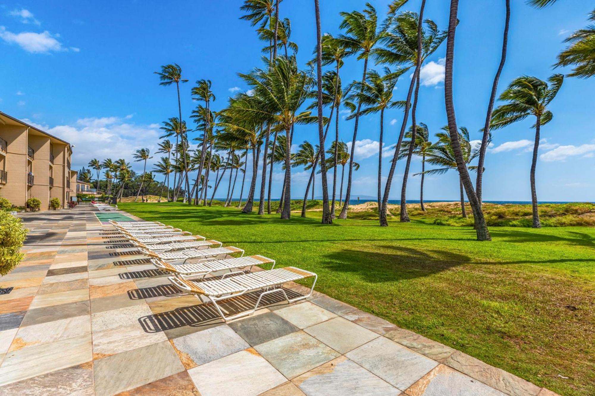 Hale Kai O'Kihei 317 아파트 외부 사진