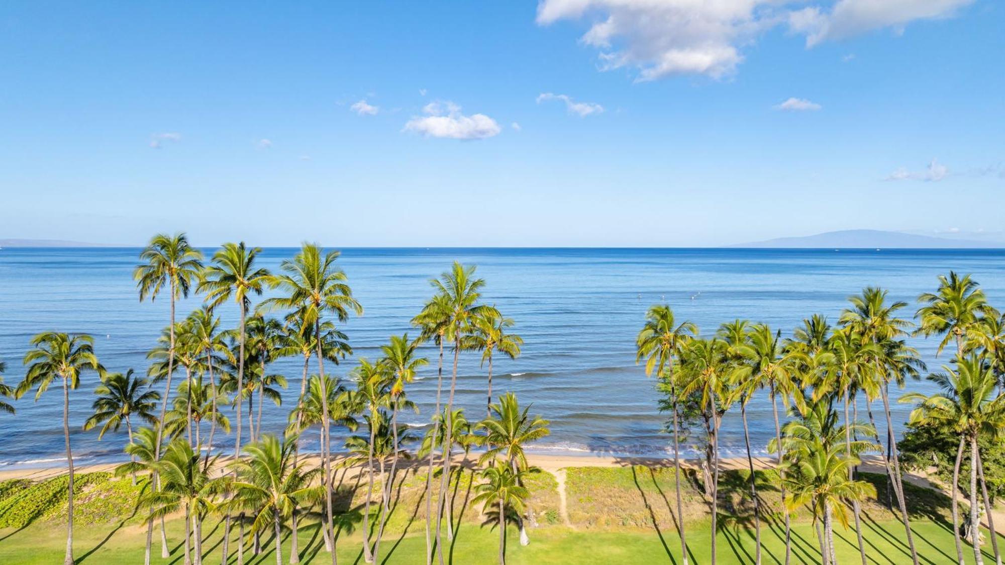 Hale Kai O'Kihei 317 아파트 외부 사진