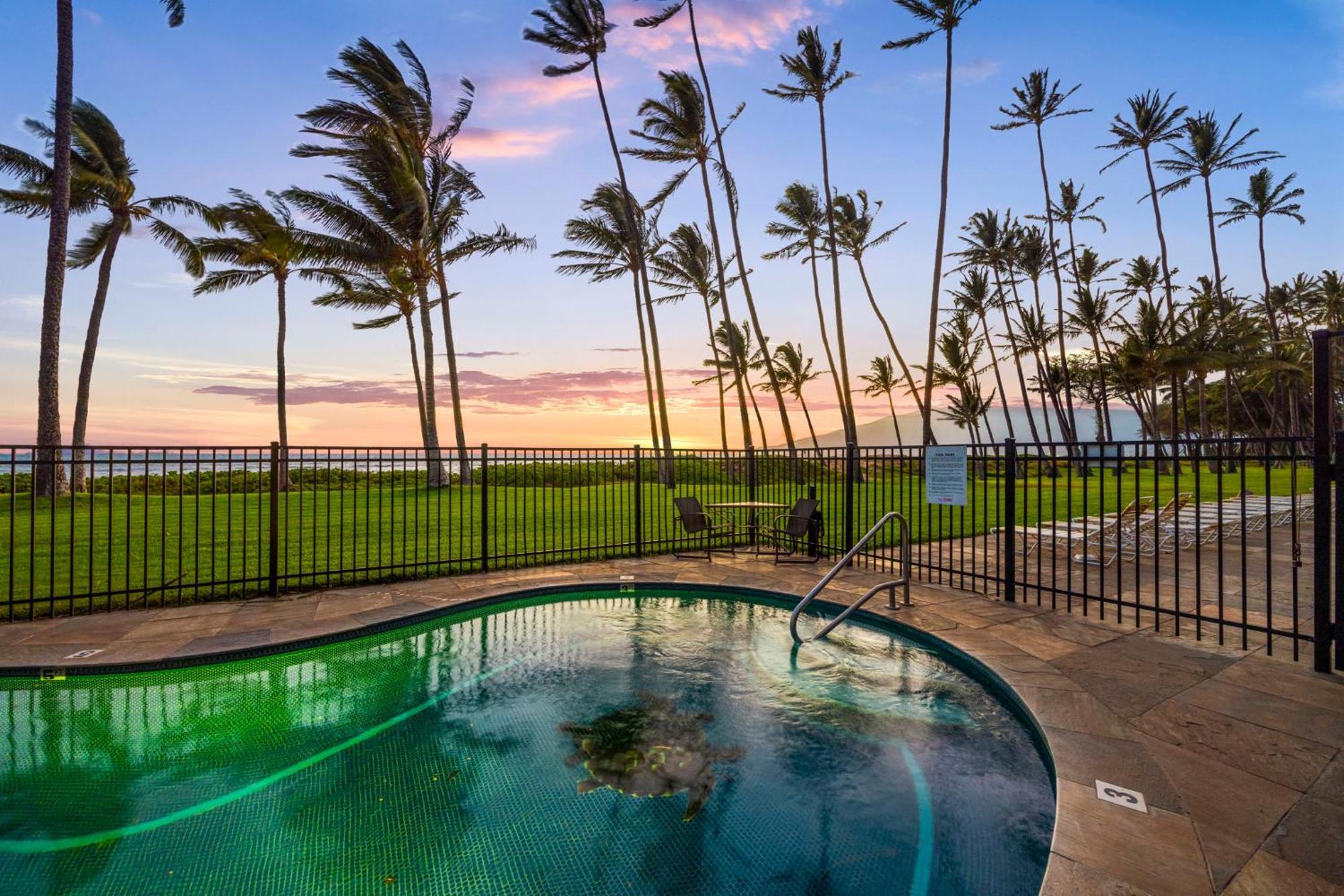 Hale Kai O'Kihei 317 아파트 외부 사진