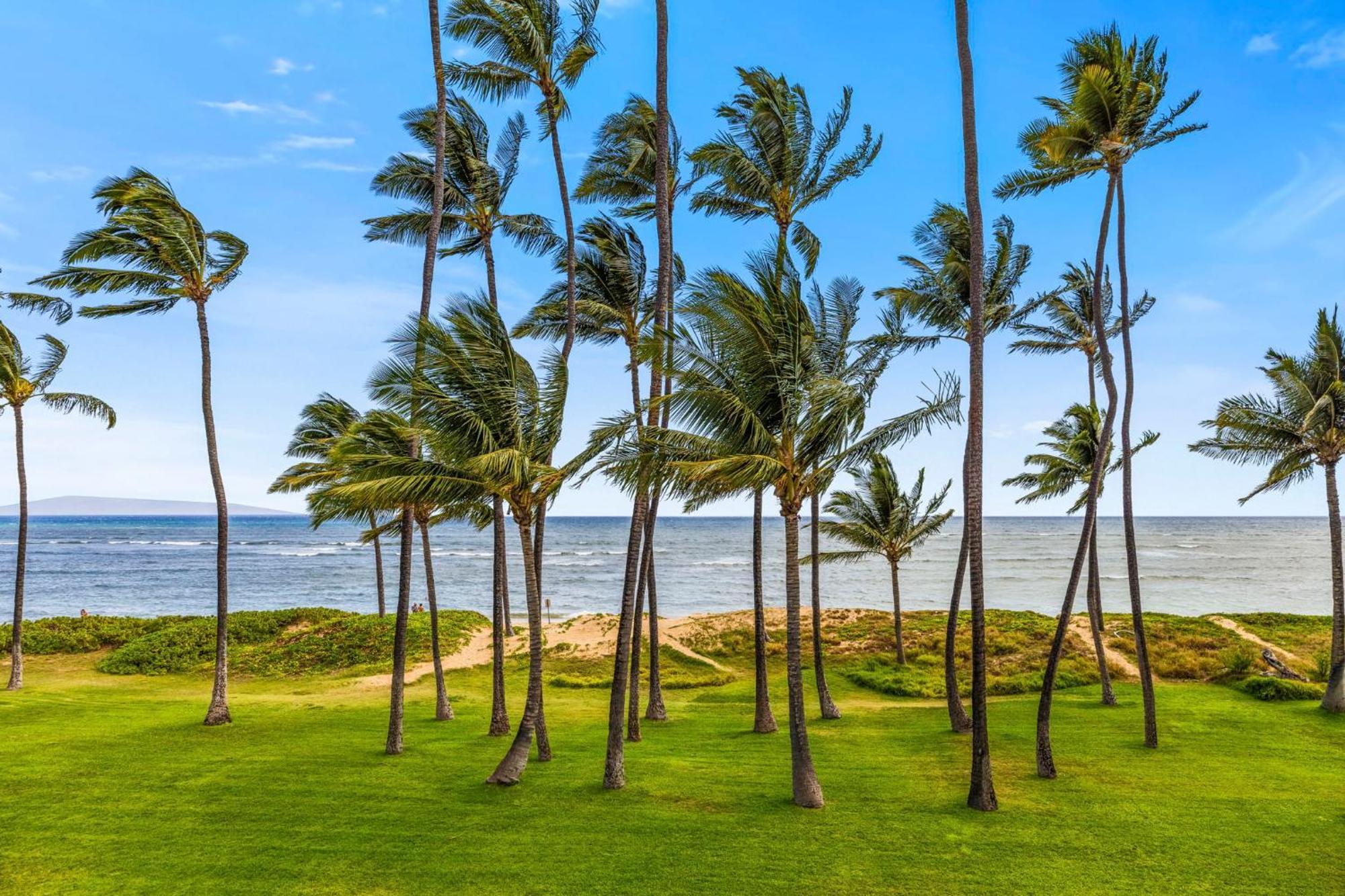 Hale Kai O'Kihei 317 아파트 외부 사진