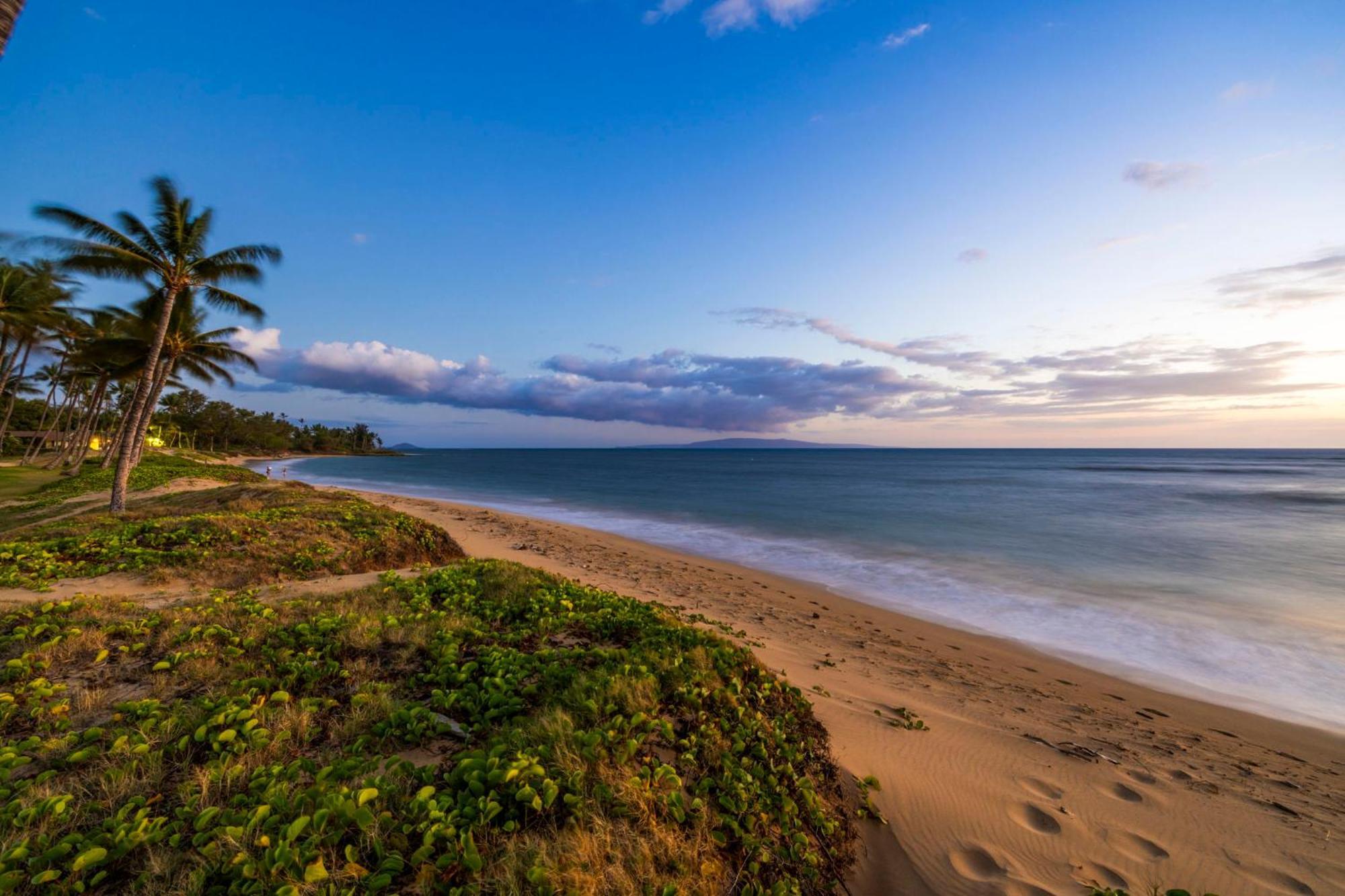 Hale Kai O'Kihei 317 아파트 외부 사진