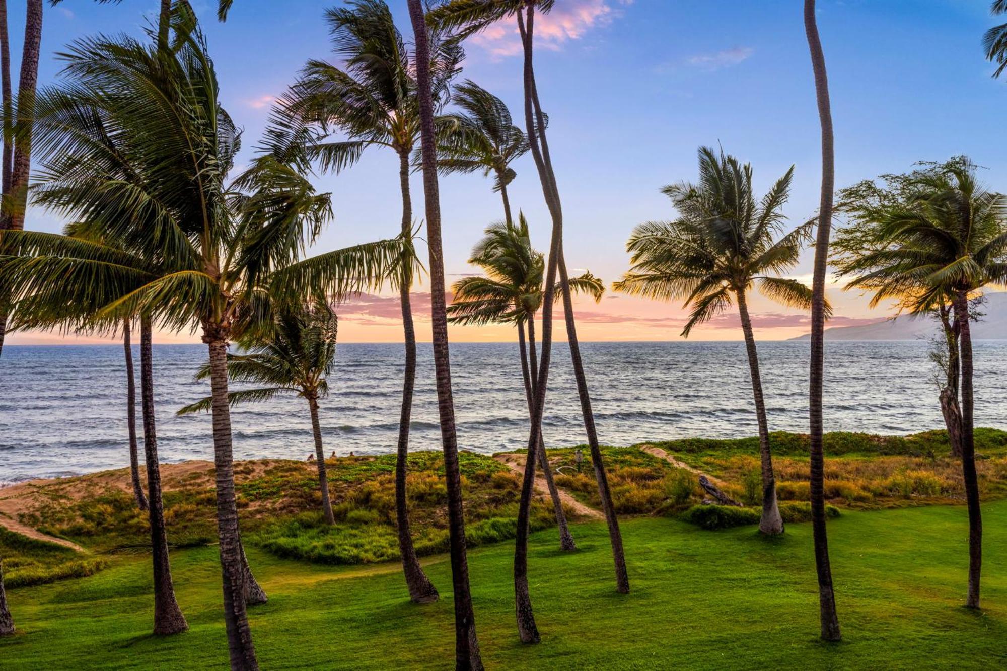 Hale Kai O'Kihei 317 아파트 외부 사진